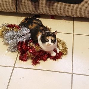 Meet your Posher, Grace